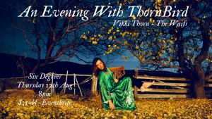 An Evening with ThornBird (Vikki Thorn from the Waifs) | Six Degrees, Albany